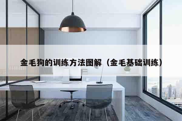 金毛狗的训练方法图解（金毛基础训练）