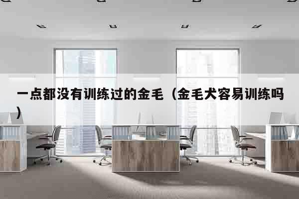 一点都没有训练过的金毛（金毛犬容易训练吗）