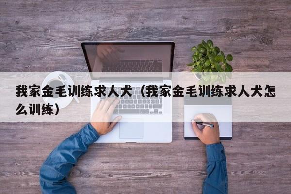 我家金毛训练求人犬（我家金毛训练求人犬怎么训练）