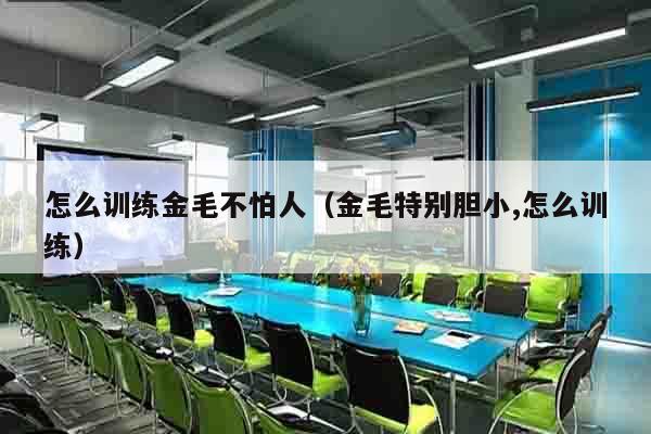 怎么训练金毛不怕人（金毛特别胆小,怎么训练）