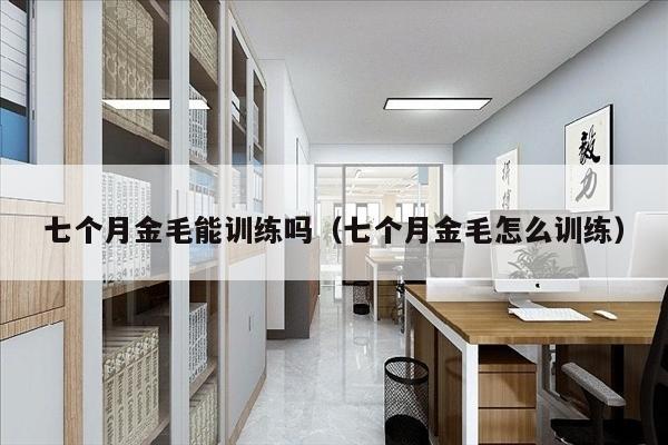 七个月金毛能训练吗（七个月金毛怎么训练）