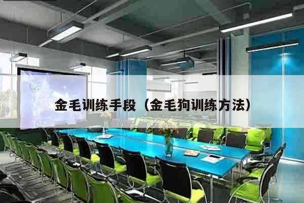 金毛训练手段（金毛狗训练方法）