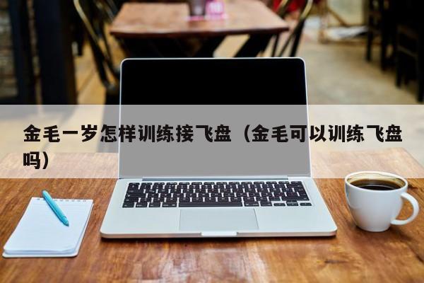 金毛一岁怎样训练接飞盘（金毛可以训练飞盘吗）