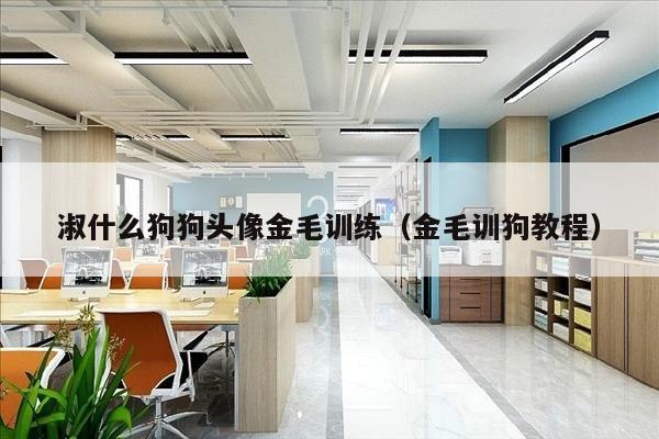 淑什么狗狗头像金毛训练（金毛训狗教程）