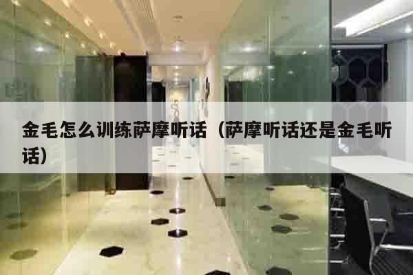 金毛怎么训练萨摩听话（萨摩听话还是金毛听话）