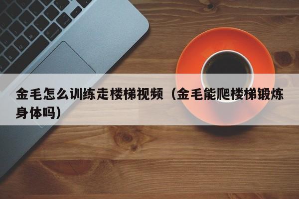 金毛怎么训练走楼梯视频（金毛能爬楼梯锻炼身体吗）