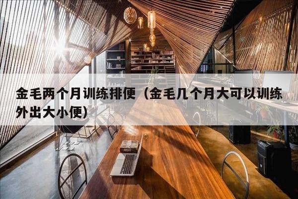 金毛两个月训练排便（金毛几个月大可以训练外出大小便）