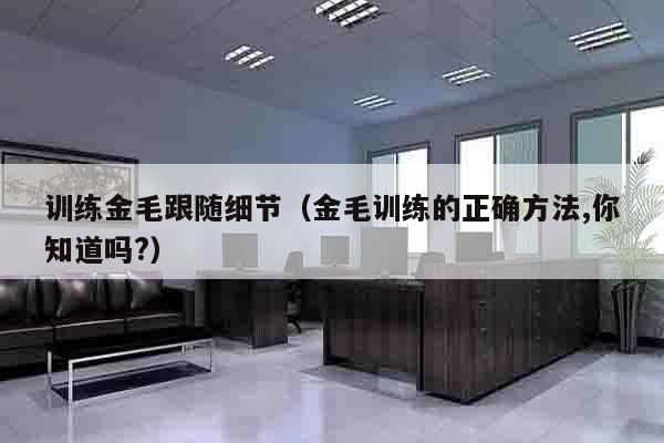 训练金毛跟随细节（金毛训练的正确方法,你知道吗?）