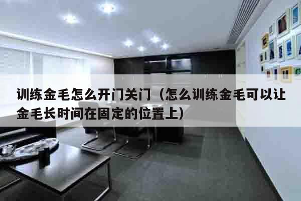 训练金毛怎么开门关门（怎么训练金毛可以让金毛长时间在固定的位置上）