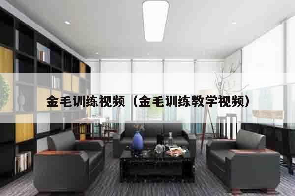 金毛训练视频（金毛训练教学视频）