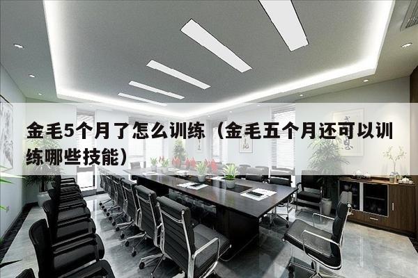 金毛5个月了怎么训练（金毛五个月还可以训练哪些技能）