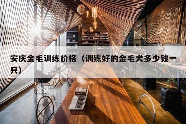 安庆金毛训练价格（训练好的金毛犬多少钱一只）