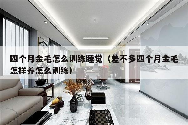 四个月金毛怎么训练睡觉（差不多四个月金毛怎样养怎么训练）