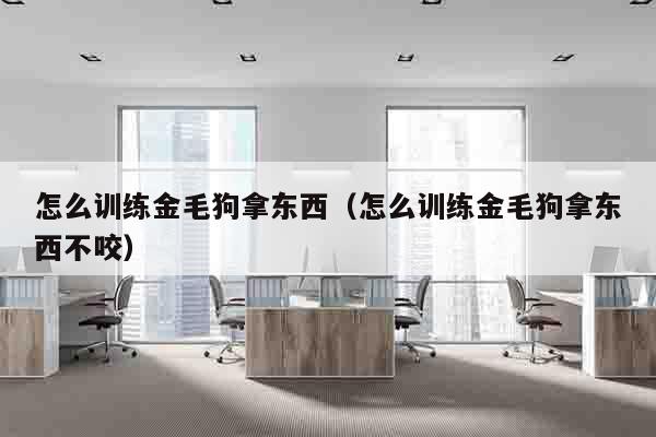 怎么训练金毛狗拿东西（怎么训练金毛狗拿东西不咬）
