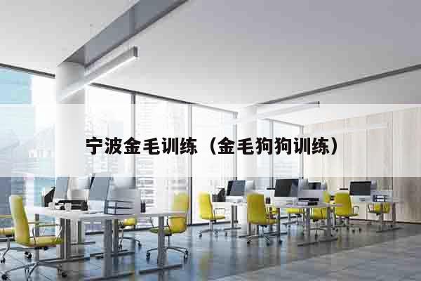 宁波金毛训练（金毛狗狗训练）