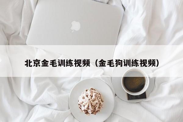 北京金毛训练视频（金毛狗训练视频）
