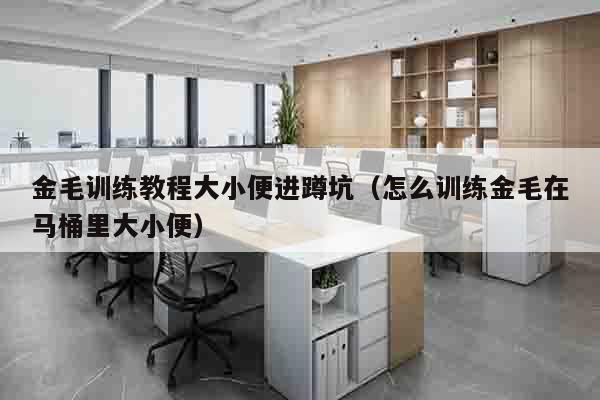 金毛训练教程大小便进蹲坑（怎么训练金毛在马桶里大小便）