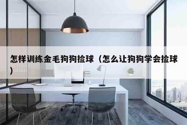 怎样训练金毛狗狗捡球（怎么让狗狗学会捡球）