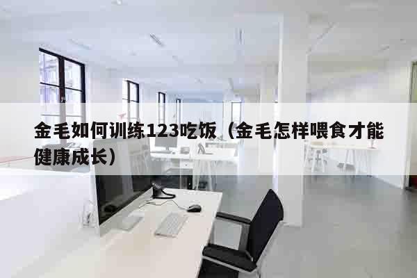 金毛如何训练123吃饭（金毛怎样喂食才能健康成长）