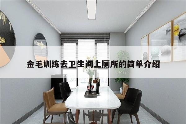 金毛训练去卫生间上厕所的简单介绍