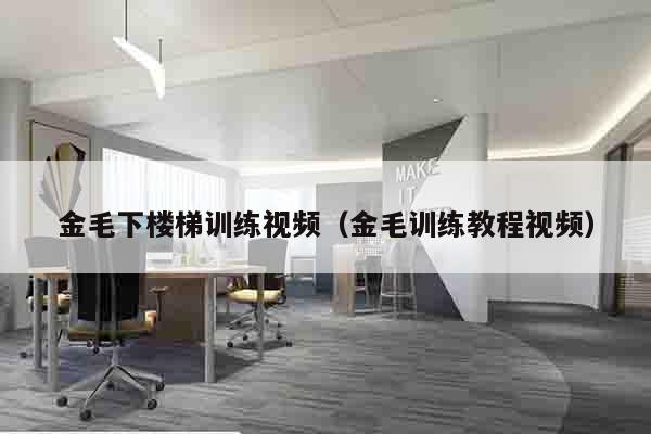 金毛下楼梯训练视频（金毛训练教程视频）