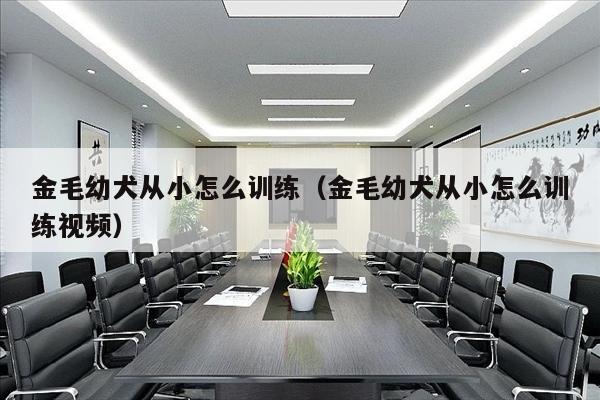 金毛幼犬从小怎么训练（金毛幼犬从小怎么训练视频）