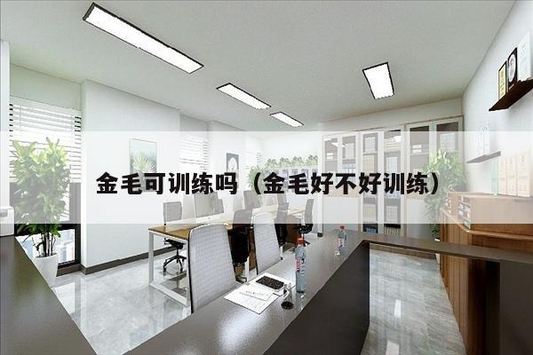 金毛可训练吗（金毛好不好训练）