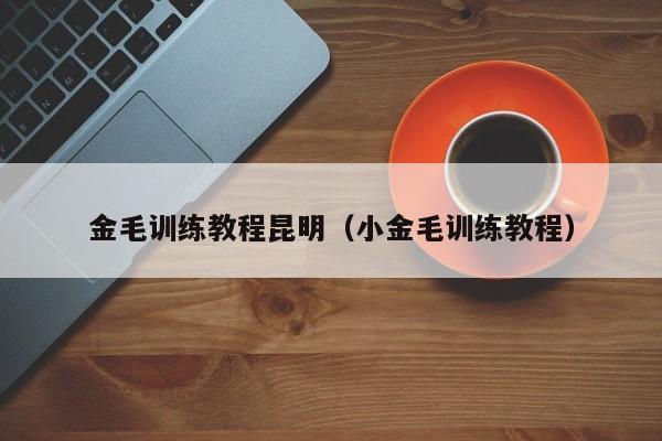 金毛训练教程昆明（小金毛训练教程）