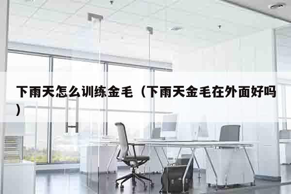 下雨天怎么训练金毛（下雨天金毛在外面好吗）