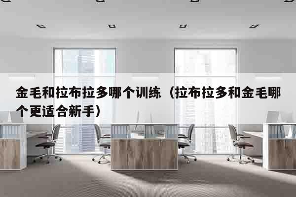 金毛和拉布拉多哪个训练（拉布拉多和金毛哪个更适合新手）