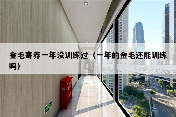 金毛寄养一年没训练过（一年的金毛还能训练吗）