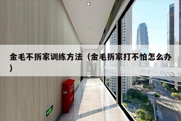 金毛不拆家训练方法（金毛拆家打不怕怎么办）