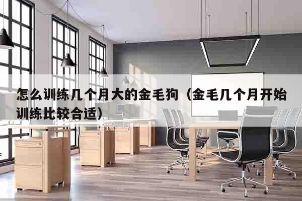 怎么训练几个月大的金毛狗（金毛几个月开始训练比较合适）