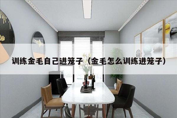 训练金毛自己进笼子（金毛怎么训练进笼子）