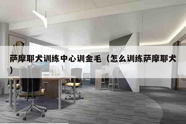 萨摩耶犬训练中心训金毛（怎么训练萨摩耶犬）