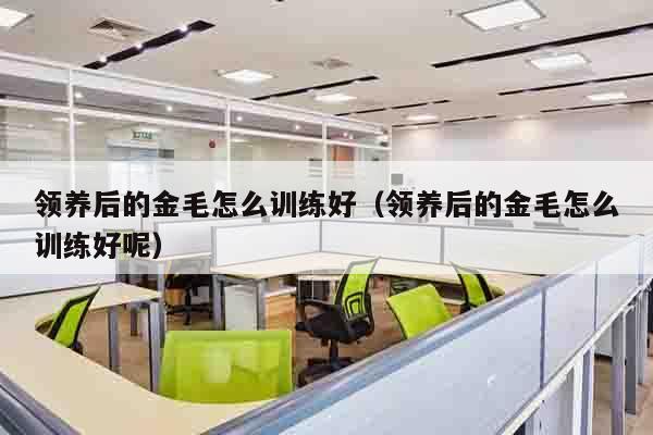 领养后的金毛怎么训练好（领养后的金毛怎么训练好呢）