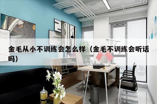 金毛从小不训练会怎么样（金毛不训练会听话吗）