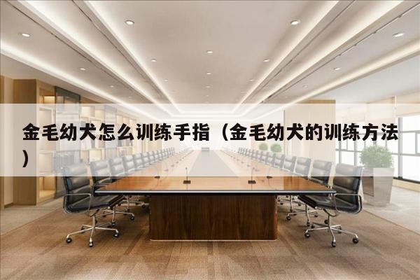 金毛幼犬怎么训练手指（金毛幼犬的训练方法）