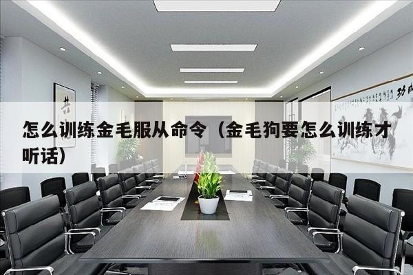 怎么训练金毛服从命令（金毛狗要怎么训练才听话）
