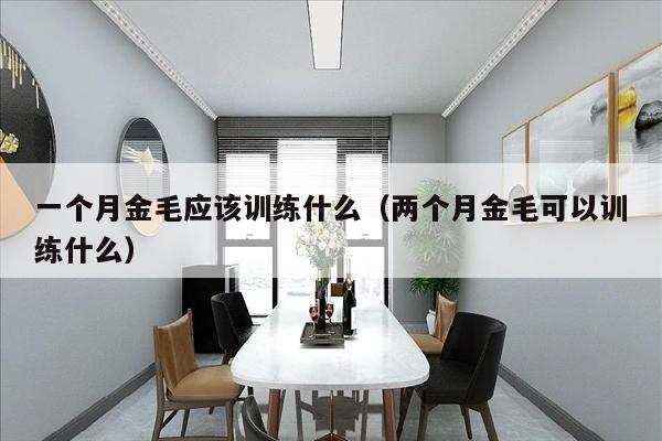 一个月金毛应该训练什么（两个月金毛可以训练什么）