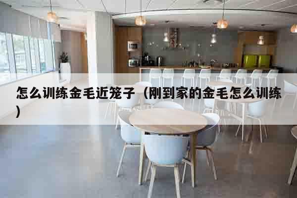 怎么训练金毛近笼子（刚到家的金毛怎么训练）