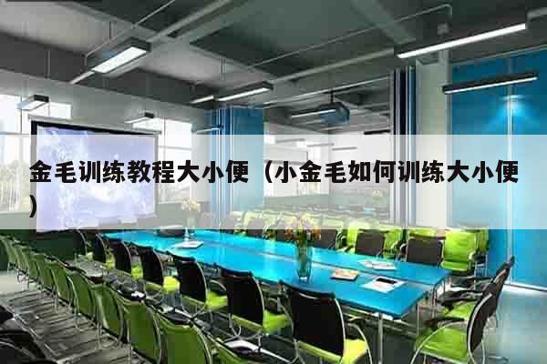 金毛训练教程大小便（小金毛如何训练大小便）