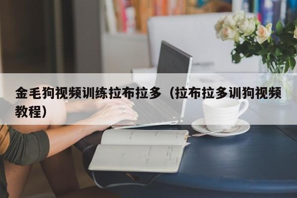 金毛狗视频训练拉布拉多（拉布拉多训狗视频教程）