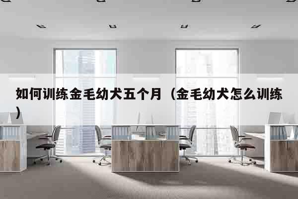 如何训练金毛幼犬五个月（金毛幼犬怎么训练）