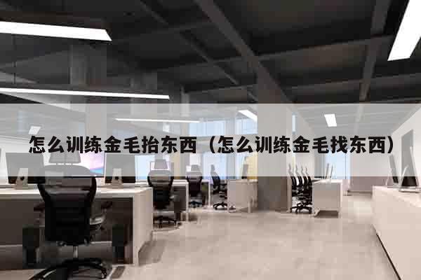 怎么训练金毛抬东西（怎么训练金毛找东西）