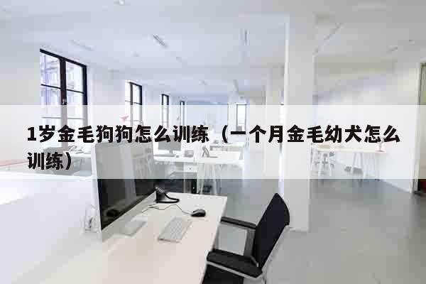 1岁金毛狗狗怎么训练（一个月金毛幼犬怎么训练）