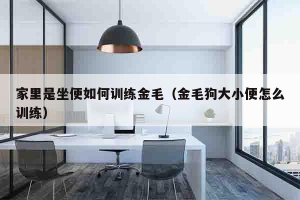 家里是坐便如何训练金毛（金毛狗大小便怎么训练）