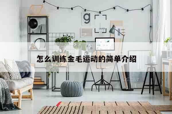 怎么训练金毛运动的简单介绍