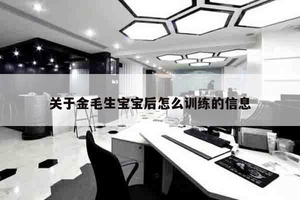 关于金毛生宝宝后怎么训练的信息