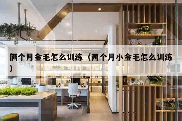 俩个月金毛怎么训练（两个月小金毛怎么训练）